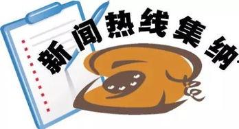 最新社会爆料新闻,最新社会爆料事件背后的惊人真相