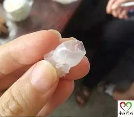 在哪里看假料真假鉴别图,如何辨别真假鉴别图