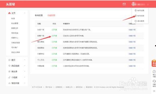 怎样开通头条号自营功能,全方位指南助你一臂之力