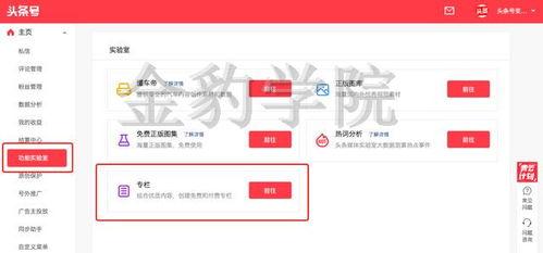 怎么进入头条专栏里,开启内容创作新篇章