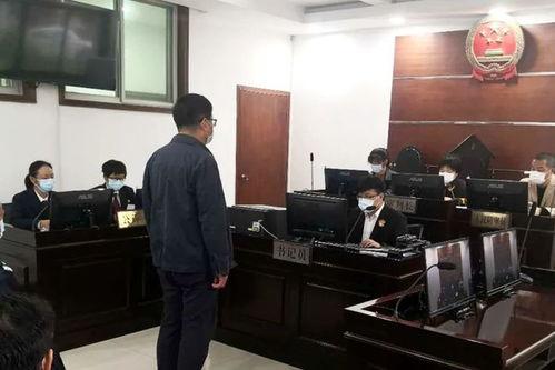 武汉汉南区爆料案件最新,真相渐明，疑云散去