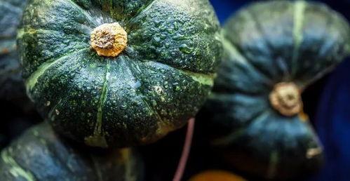 吃瓜真的吃麻了,揭秘“吃瓜真的吃麻了”的疯狂世界