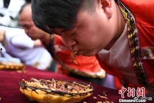 丽江夫妻吃瓜视频,揭秘网红夫妻日常趣事