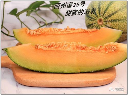 老奶奶吃瓜素材,笑料百出，揭秘生活中的欢乐瞬间