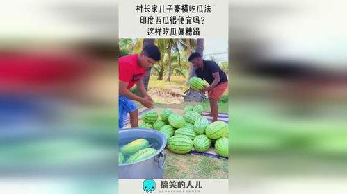 吃瓜的样子真豪横,揭秘吃瓜界的豪横风采