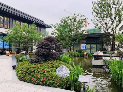 逐浪新闻爆料热线官网,揭秘新闻线索的汇聚与传播之道