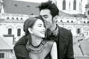 姓陈的明星两个字