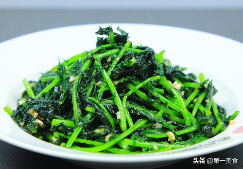 头条菜,探寻美食新风尚，品味生活新境界