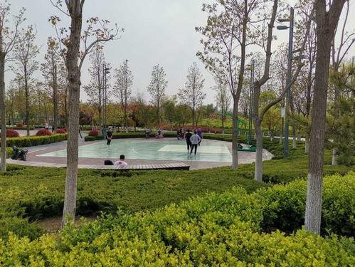 济宁太白湖区今日头条,最新动态与精彩瞬间速览