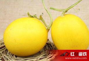 吃瓜喉咙不舒服吃啥缓解,缓解吃瓜喉咙不适的食疗秘籍