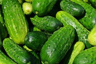 梦见吃瓜掉地下,瓜果飘香，意外掉落引发的奇幻之旅