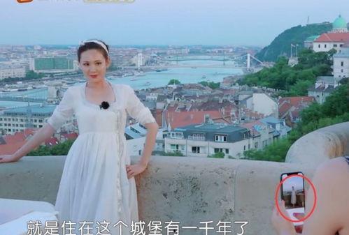 明星都用什么照相软件,揭秘明星拍照利器，这些软件让你拍出明星范儿