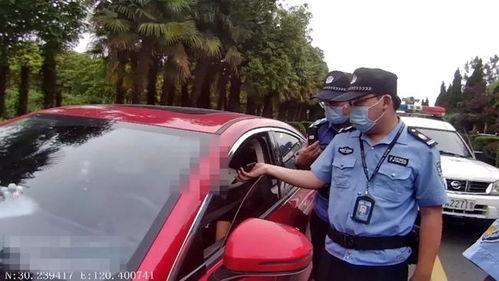 交警爆料吴女士视频大全,吴女士视频大全背后的惊人真相