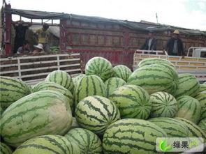 6月20日十堰吃瓜,一场网络热议的幕后真相