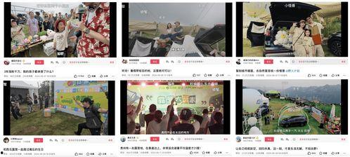 今日头条露营模式,今日头条露营模式引领潮流体验