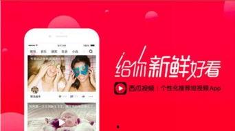 娱乐吃瓜酱视频模板免费,一场惊心动魄的“吃瓜”盛宴