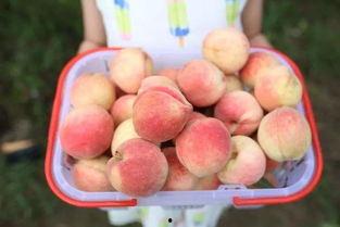 每日大赛吃瓜网直达